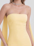 Bandeau Maxi Dress With Embellished Scarf
