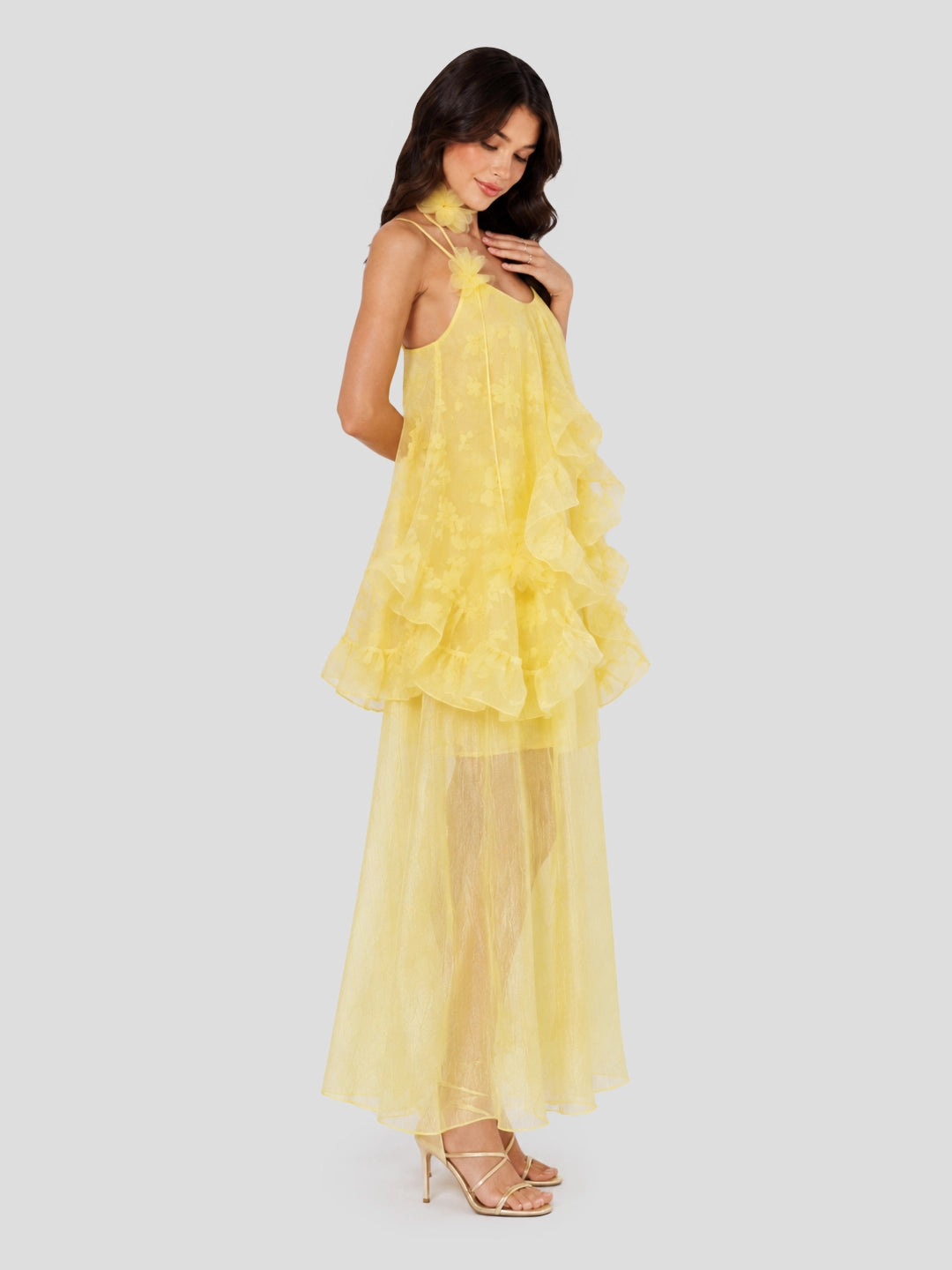 Floral Organza Ruffle Maxi Dress